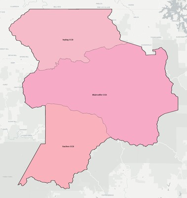 Union County GA townships and subdivisions map