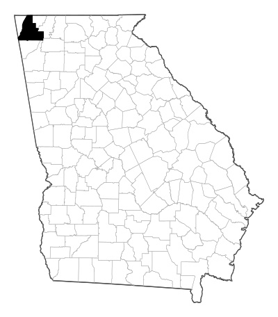 Walker County in Georgia