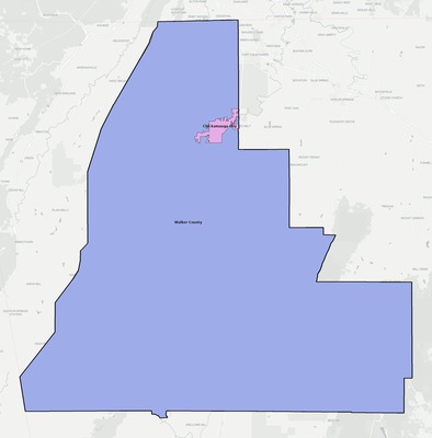 Walker County GA school district boundaries map