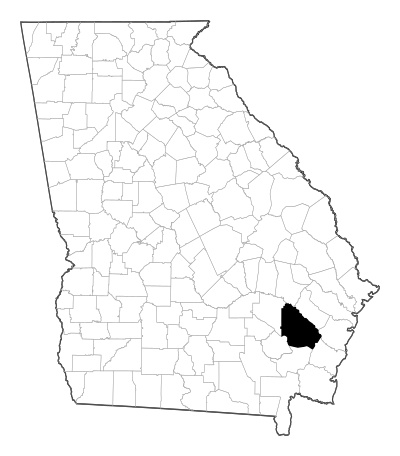 Wayne County in Georgia