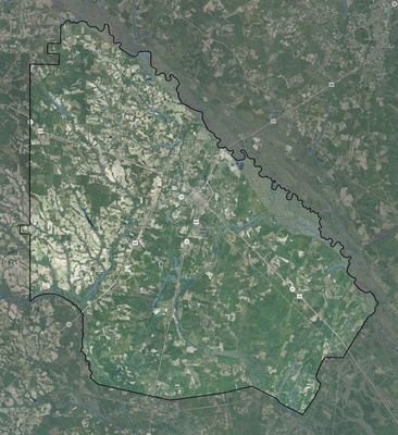 Wayne County GA USGS imagery and topo map