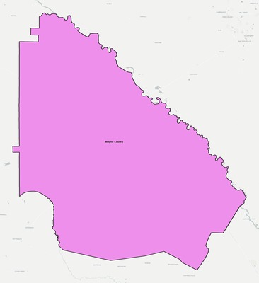 Wayne County GA school district boundaries map
