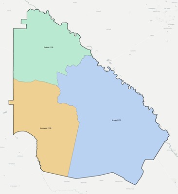 Wayne County GA townships and subdivisions map