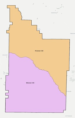 Webster County GA townships and subdivisions map