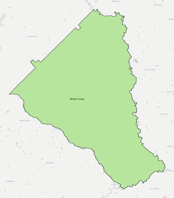 Wheeler County GA school district boundaries map