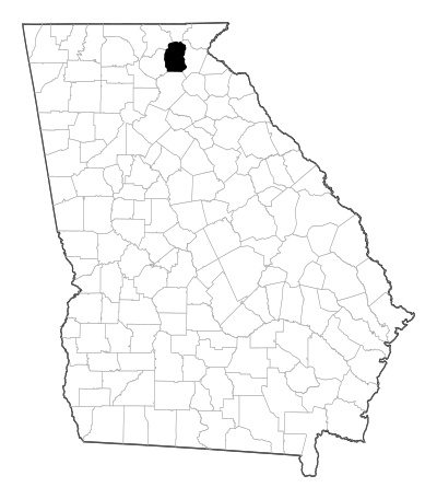 White County in Georgia