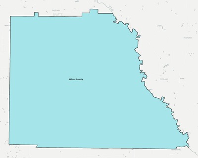 Wilcox County GA school district boundaries map