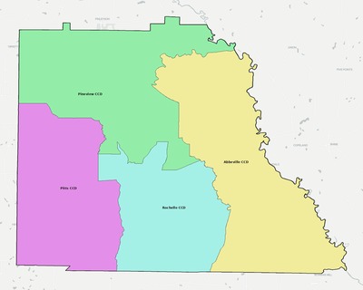 Wilcox County GA townships and subdivisions map