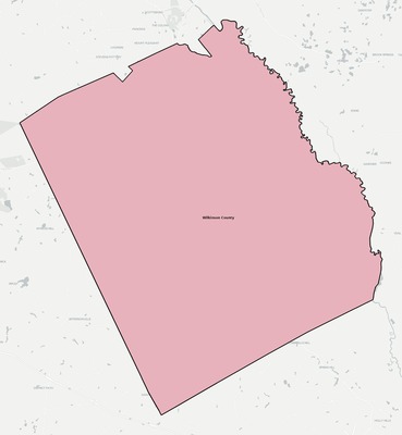 Wilkinson County GA school district boundaries map