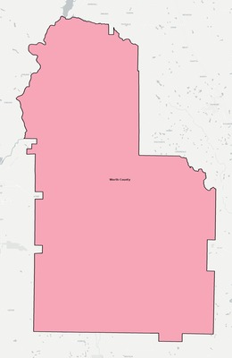 Worth County GA school district boundaries map