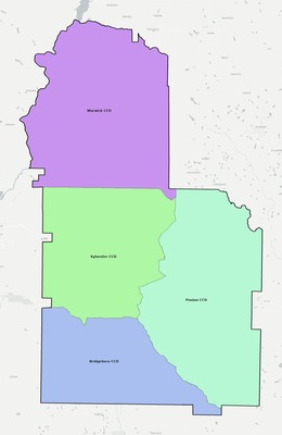 Worth County GA townships and subdivisions map
