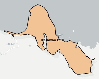 Kalawao County HI county subdivision map preview