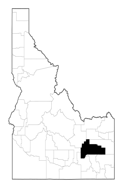 Bingham County in Idaho