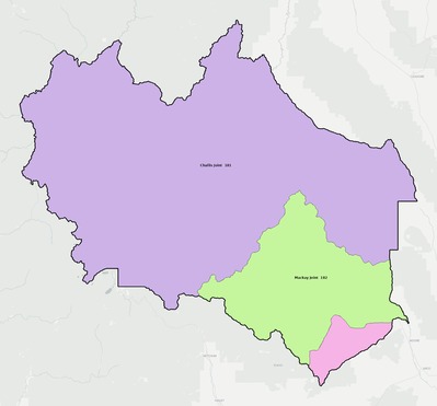 Custer County ID school district boundaries map