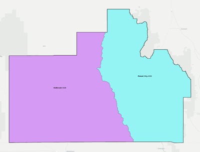 Oneida County ID townships and subdivisions map