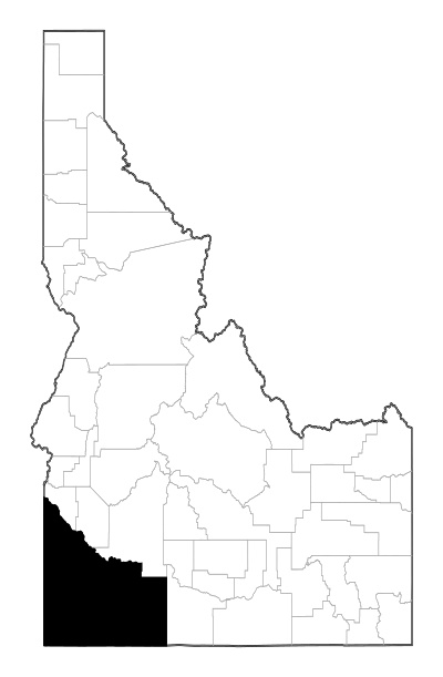 Owyhee County in Idaho