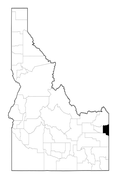 Teton County in Idaho