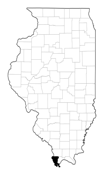 Alexander County in Illinois