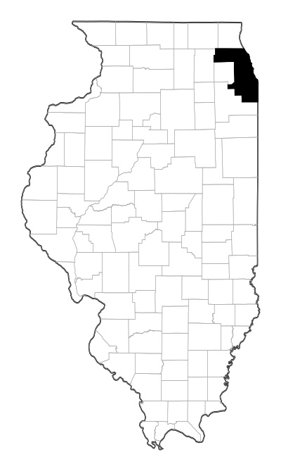 Cook County in Illinois
