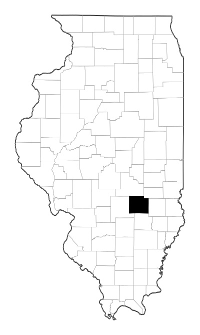 Effingham County in Illinois