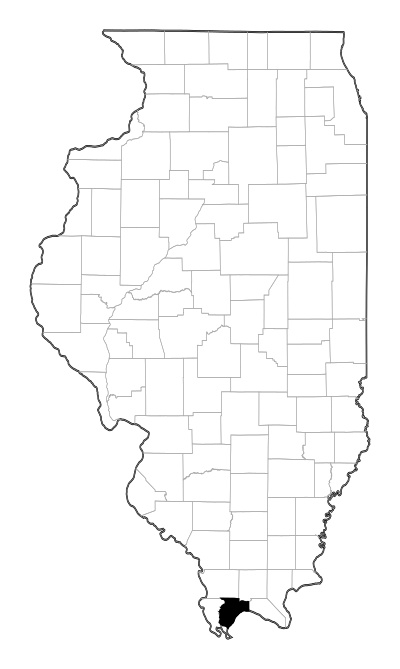 Pulaski County in Illinois