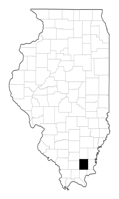 Saline County in Illinois