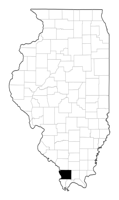 Union County in Illinois