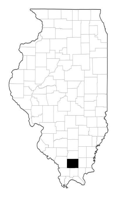 Williamson County in Illinois