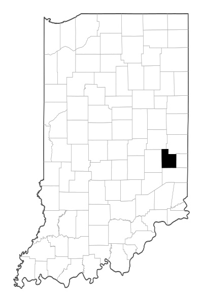 Fayette County in Indiana