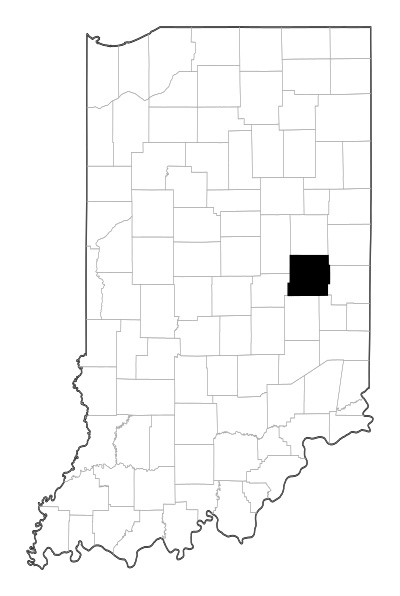 Henry County in Indiana