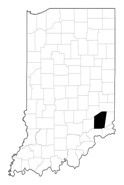 Ripley County in Indiana
