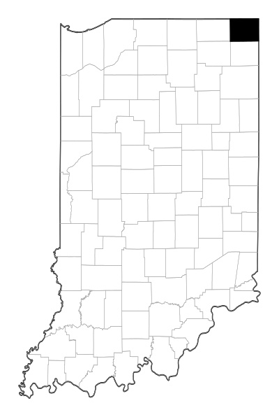 Steuben County in Indiana