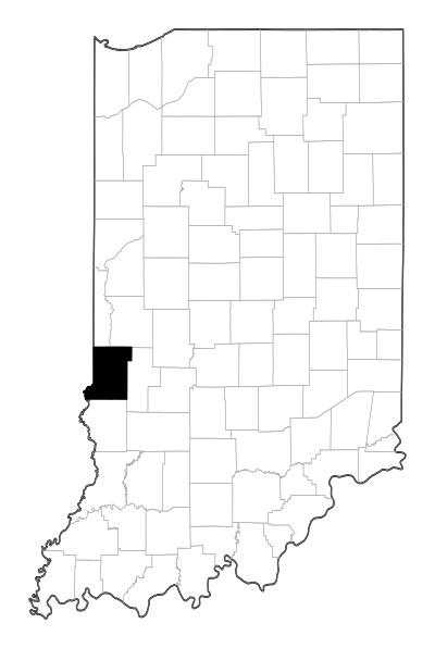 Vigo County in Indiana