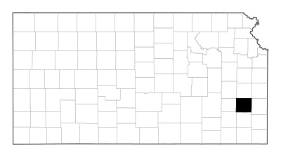 Allen County in Kansas