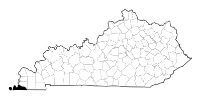 Fulton County in Kentucky