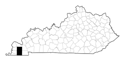 Graves County in Kentucky