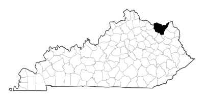 Lewis County in Kentucky
