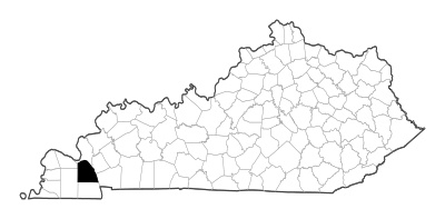 Marshall County in Kentucky