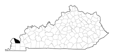 McCracken County in Kentucky