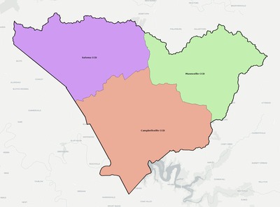Taylor County KY townships and subdivisions map