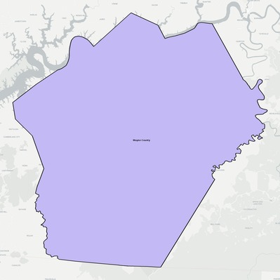 Wayne County KY school district boundaries map