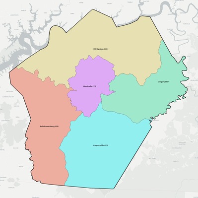Wayne County KY townships and subdivisions map