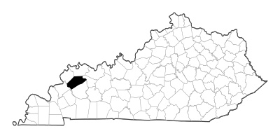 Webster County in Kentucky