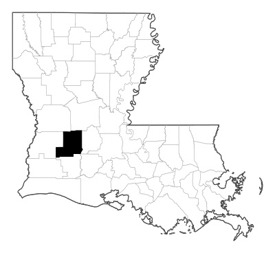 Allen County in Louisiana