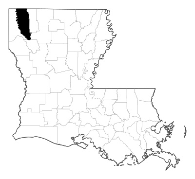 Bossier County in Louisiana