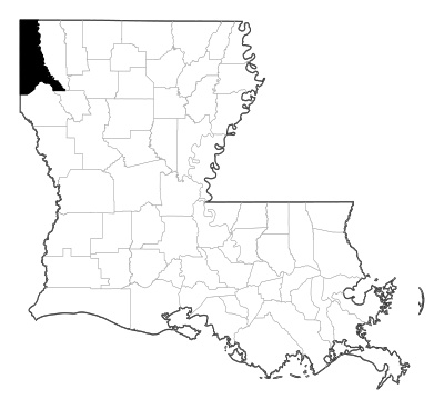 Caddo County in Louisiana