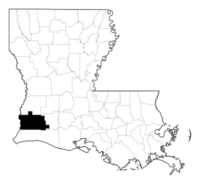 Calcasieu County in Louisiana