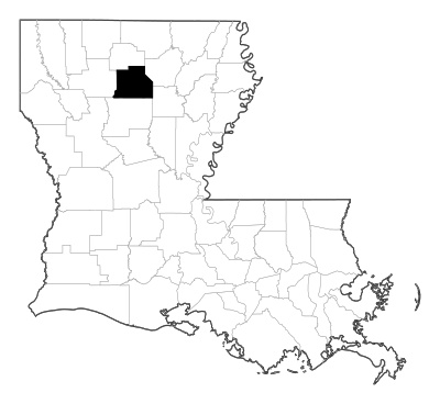 Jackson County in Louisiana
