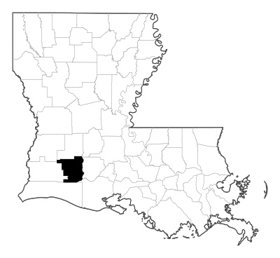 Jefferson Davis County in Louisiana