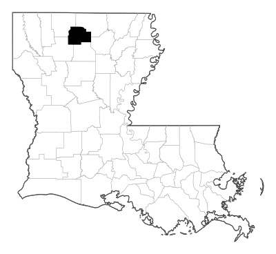 Lincoln County in Louisiana